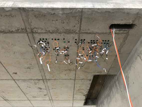 View inside the new building. Many cables come out of small holes in the concrete ceiling and hang down. Each cable is labelled.