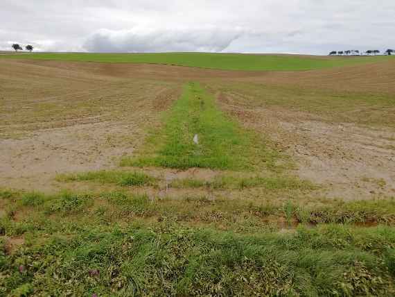 The picture shows a grassed flow path, about the width of a single-lane road in the municipality of Mank. On the left and right some bare land. Far ahead on the left 2 and on the right 6 trees can be seen, in cloudy weather.