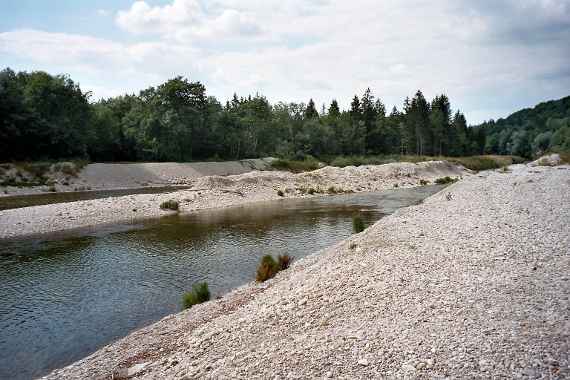 Geschiebedepot an der Alz, das Bild zeigt die Alz mit einem einigen Meter hohen, seitlich des Flusses angeordneten Geschiebedepot, im Hintergrund sind Bäume und Büsche einer uferbegleitenden Vegetation sichtbar.