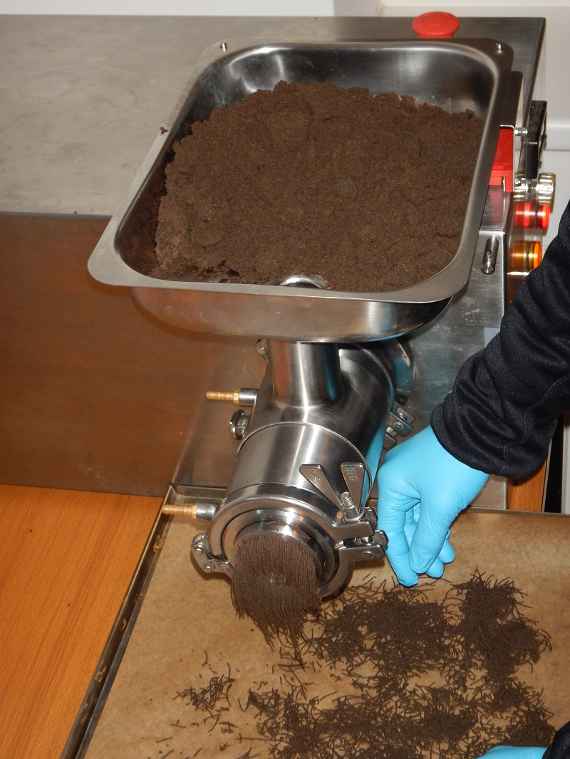 At the top, dried fodder is filled into a tub and then through the meat grinder the dried fodder comes out in the form of thin ribbons a few centimetres long and falls onto a plate. A worker with a glove grabs the thin bands of dried fodder.