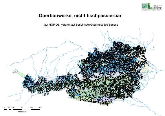 This screenshot shows an Austrian map with the individual cross structures that are not fish-passable. Each of these cross structures is marked as a black dot. The map is full of black dots. On the top right you can see the old logo and designation of the federal ministry.