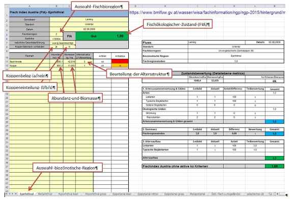 This screenshot from a PC monitor shows an Excel table for the fish ecological assessment of a water body. There are some fields to be filled in, such as "Selection of fish bioregion", "Chub occupancy", "Assessment of age structure", "Abundance and biomass" and also as a result the "Fish ecological status". There are many other cells.