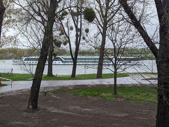 Direct view from the first floor of the main building to the Danube running parallel. A large cruise ship is sailing upstream (to the left). In front of it are some trees and partly green meadow. A large area is not yet covered with grass, as construction containers stood here for a long time, which were only removed a few days ago. Furthermore, a small road is visible, but only for emergency vehicles, for walking and cycling. On the left is a barrier that blocks the way. Beyond the cruise ship, on the other bank of the Danube, a wooded area can be seen on the Danube Island. The picture was taken in rainy weather and cloudy skies.