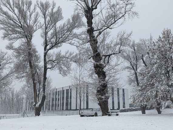 Image taken diagonally from the side of the Danube. The photo was taken under an overcast sky and snowfall, snow depth approx. 10 cm. The trees, meadow and benches in the park next to our hydraulic engineering laboratory are covered in snow.