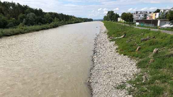 The renatured bank of the Bregenzerach with gravel, grass and wood.