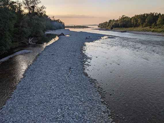 A large gravel bar runs along the right bank, in the background you can see an island and Lake Constance.