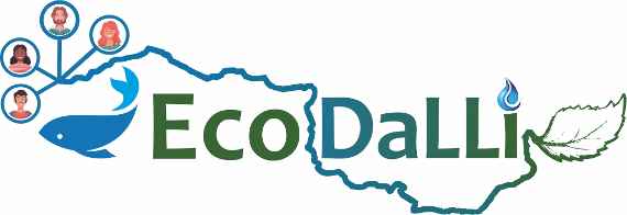 The lettering of the word EcoDaLLi is crossed by a line that represents the geographical course of the Danube. The line of the Danube starts in the upper left part of the logo and runs almost horizontally above the word ECO. Then the line bends down orthogonally and separates the two words ECO and DALLI, geographically this area corresponds to the course of the Danube through Hungary. Below the word DALLI, the line runs slightly in a semicircle to the right end of the logo, where it ends in the shape of a leaf. The leaf symbolizes the Danube Delta. The spring of the Danube at the upper right end of the line is marked by four circles filled with stylized portraits of individuals. Below, to the left of the word EcoDaLLi, is a stylized fish.