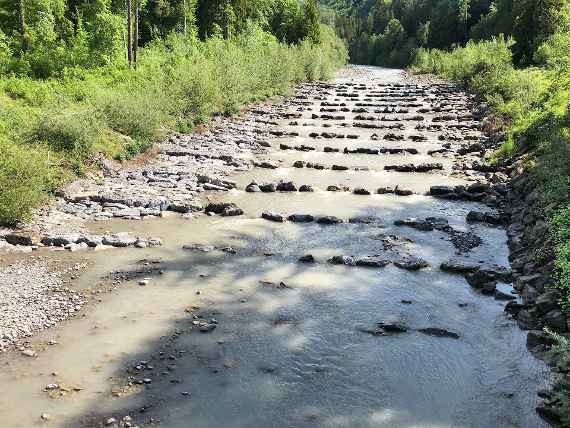 Photographed from a bridge upstream, the picture shows, a so-called structured ramp. The ramp consists of 15 rows of large stones lying across the stream. Each row is about 20 metres long and about 25 centimetres higher than the previous row. The rows have a distance of about 6 metres. Between the rows, the stream bed is deeper, creating pools filled with water. In the rows of large stones, there are gaps through which water flows and fish can swim. To the left and right on the banks of the stream you can see bushes and behind them forest.