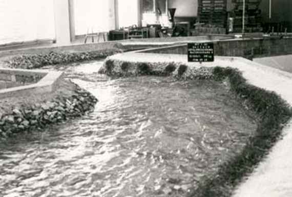 Physical model experiment on a scale of 1 to 30, you can see a winding watercourse in the laboratory hall in a bricked channel. The right bank of the model river is covered with branches similar to vegetation in nature, the left bank is covered with stones. A panel shows the details of the flow and experiment.