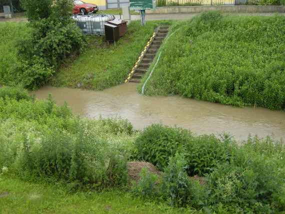 The photo was taken at the Obermallebarn monitoring station on the Göllersbach stream during a precipitation event in June 2020. You can see a flood in the bank area, which is densely overgrown. On the opposite side of the stream, narrow steps lead up to the road.