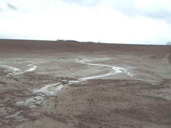 Water retention on the surface can help prevent erosion damage from heavy precipitation. In the picture you can see a brown, muddy field with water areas.