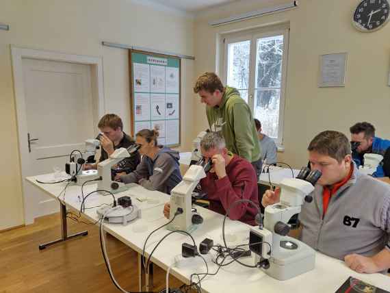 KursteilnehmerInnen beim Mikroskopieren