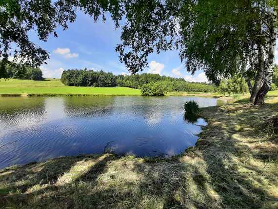 Karpfenteich