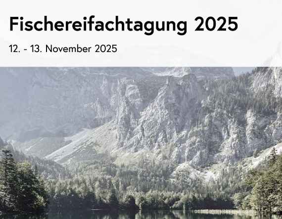 Man sieht einen Gebirgssee mit vielen Bäumen am Ufer sowie Felsen vom Berg im Hintergrund. 
