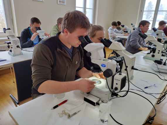 Die angehenden Fichereifacharbeiter arbeiten mit dem Mikroskop.