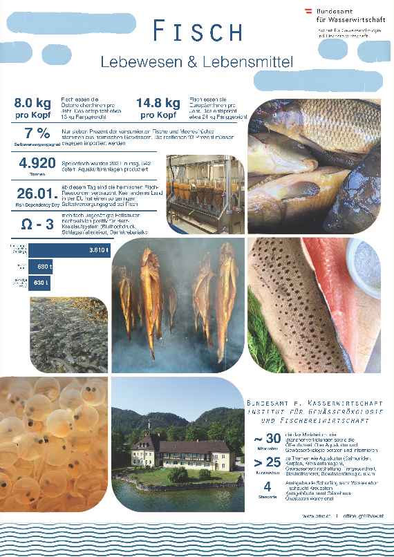 Poster Fisch - Lebewesen & Lebensmittel