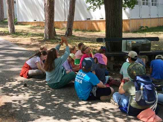 Die Kinder sitzen im Schatten unter einem Baum.