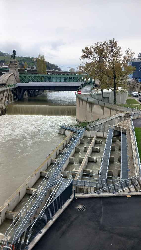 Blick vom neuen Wasserbaulabor auf die überströmte Nussdorfer Wehranlage sowie die Fischaufstiegshilfe zwischen Donaukanal und Donau. Im Hintergrund ist die Schemerlbrücke zu erkennen, die seit 1899 den Eingang zum Donaukanal markiert.