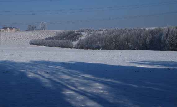 Winterlandschaft