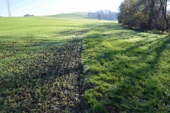 Grünstreifen