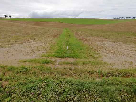 Begrünter Fließweg in der Gemeinde Mank