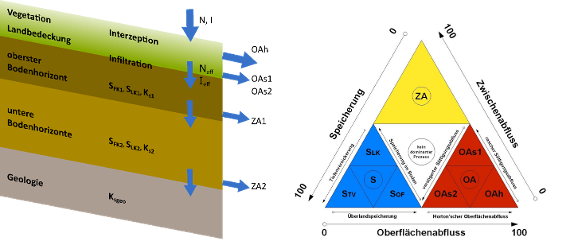 Konzeptionelle Schemata des HydroBOD-Modells