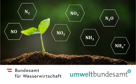 Bild einer kleinen Pflanze. Auf dem Bild zu sehen sind auch die Logos des Bundesamt für Wasserwirtschaft und des Umweltbundesamtes.
