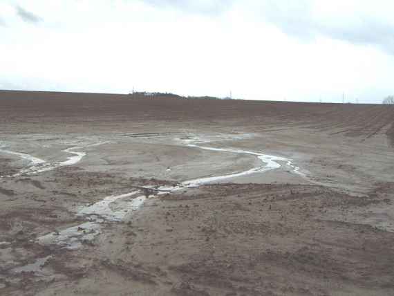 Wasserrückhalt auf der Fläche kann helfen Erosionsschäden durch Starkniederschläge zu vermeiden.