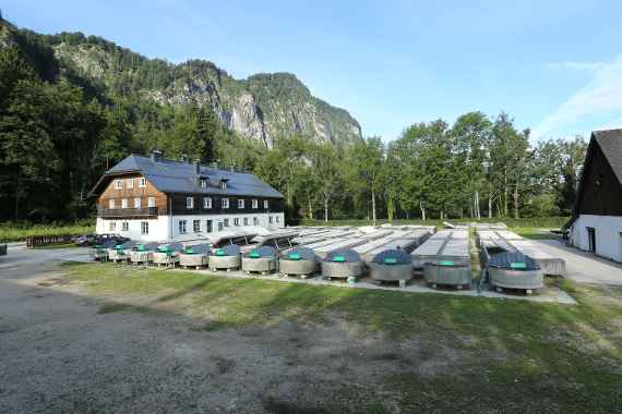 Außenansicht Fischzucht Kreuzstein