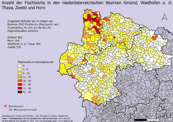 Landkarte mit einer Darstellung der Anzahl und Lage der Fischteiche, welche zur Fischzucht oder als Angelteiche gewidmet sind, in den Bezirken Gmünd, Waidhofen an der Thaya, Zwettl und Horn