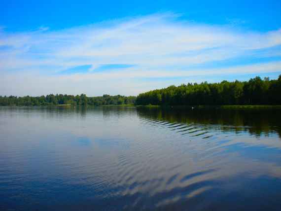 Teichlandschaft