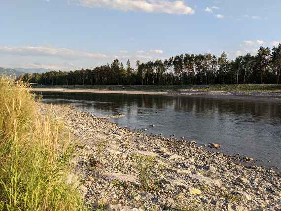 Man sieht flache Ufer mit Steinen und Kies, im Vordergrund Gras und im Hintergrund Wald.