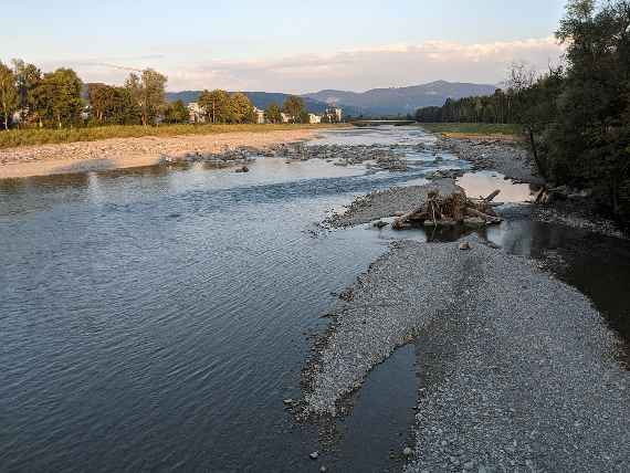 Der renaturierte Fluss bei Niedrigwasser mit flachen Ufern.