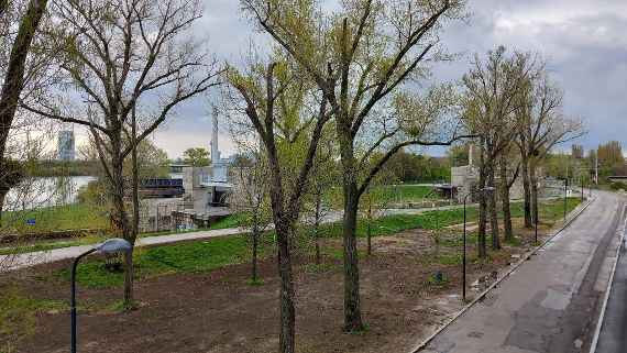 Im Vordergrund ist eine kleine Parkfläche von zirka zwanzig Metern Breite mit mehreren großen Bäumen zu erkennen. Hinter dem Park ist zuerst eine schmale Zufahrtsstraße quer durch das Bild auf einem kleinen Damm zu erkennen. Erst hinter dieser Zufahrtsstraße befindet sich die Schleusenanlage mit links der wassergefüllten Schleusenzufahrt und in der Mitte die beiden Betonbauwerke in einem Abstand von fünfundachtzig Metern zueinander. Die Schleusenausfahrt rechts in Bildmitte ist durch eine Brücke verdeckt. Im rechten unteren Bildbereich, direkt vor dem Standpunkt des Fotografen führt die Durchfahrtsstraße vorbei, welche über die Brücke der Schleusenausfahrt führt, und optisch dort endet.