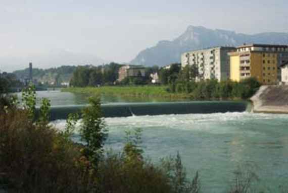Ähnliche Blickrichtung in der Natur im Sommer 2004