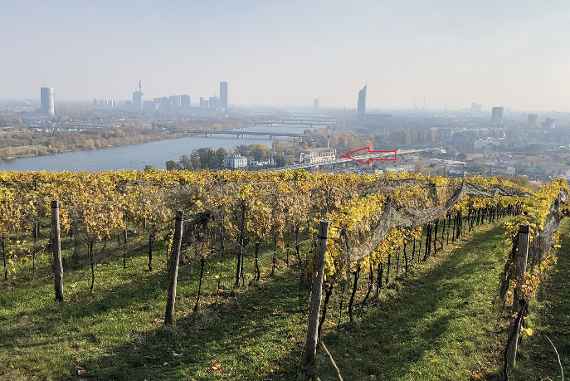 Man sieht im Vordergrund einen Weingarten, in der Ferne die Baustelle des Wasserbaulabors mit der Donau und die Häuser von Wien.