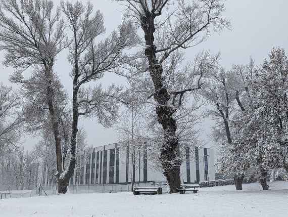 Bildaufnahme schräg seitlich von Donauseite aus. Die Aufnahme erfolgte bei bedecktem Himmel und Schneefall, Schneehöhe circa 10 cm. Bäume, Wiese und Sitzbänke im Park neben unserem Wasserbaulabor sind mit Schnee bedeckt.