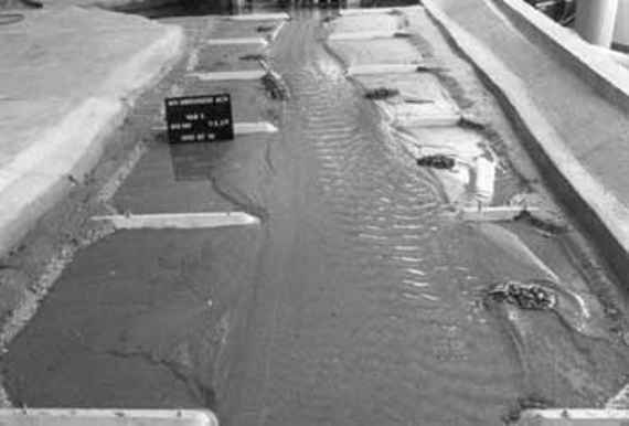 Physikalischer Modellversuch am Institut bei mittlerer Wasserführung, man sieht einen gestreckten Flusslauf in einer Laborrinne, der beidseitig durch weit in das Gewässer reichende Buhnen eingeengt wird. Die variable Buhnenlänge verursacht einen leicht geschwungenen Gewässerlauf. Zwischen den Buhnen sind Leitwerke aus Steinen ersichtlich. Foto in schwarz/weiß.