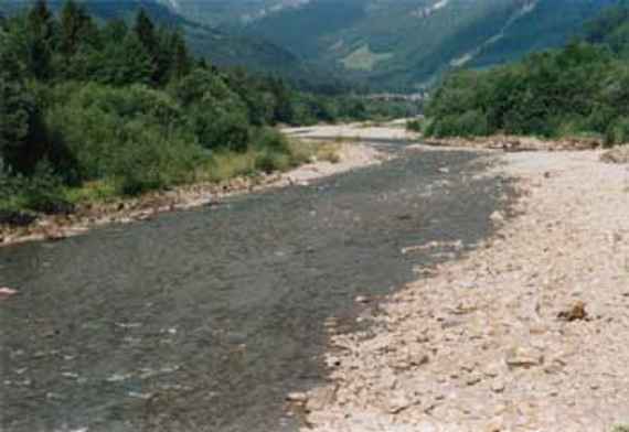 Projektabschnitt der Bregenzerach im Sommer 2003, man sieht das Kiesbett der Bregenzerach und einen schmalen Gewässerarm in Bildmitte, links und rechts ist das Gewässer durch Vegetation begrenzt, bewaldete Berghänge im Hintergrund.