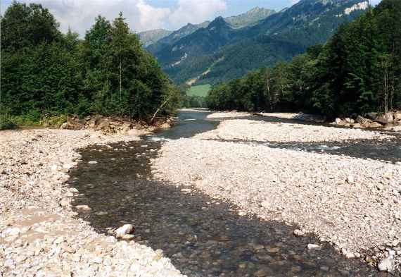 Projektabschnitt der Bregenzerach, man sieht das Kiesbett der Bregenzerach und einen schmalen Gewässerarm in Bildmitte, links und rechts ist das Gewässer durch Vegetation begrenzt, bewaldete Berghänge im Hintergrund.