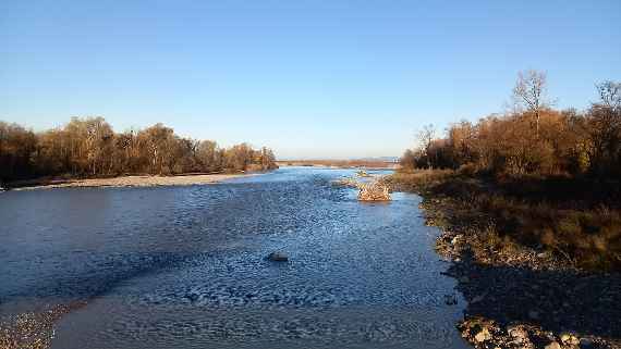 Man sieht auf Foto den Fluss und auf beiden Seiten Waldgebiete. Weiter vorn sind links und rechts Kiesbänke erkennbar und rechts drei künstliche Strukturen aus Holz.