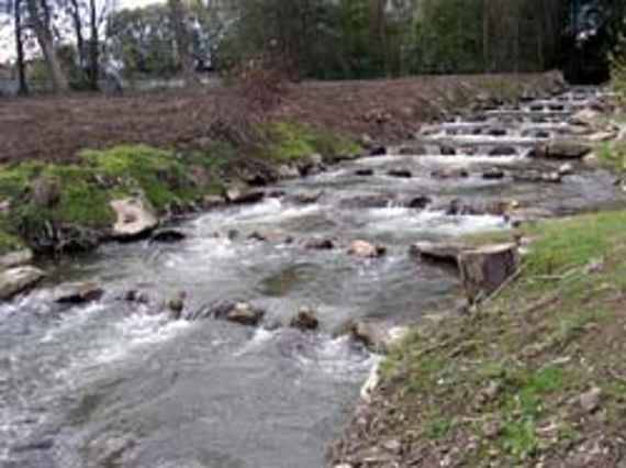 Aufgelöste Rampe am Innbach (Neigung 1 zu 20). Das Wasser fließt über kleine Stufen, die von Fischen leicht zu überwinden sind.