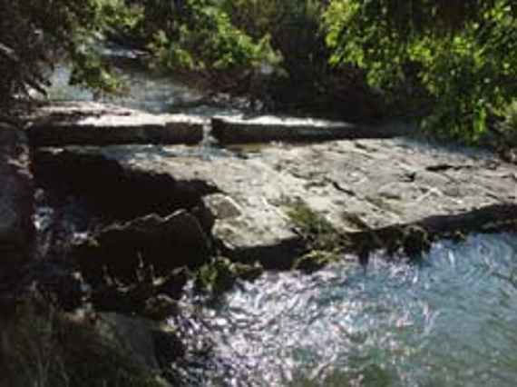 Alte Betonrampe am Leitenbach, sogenannte Barbenregion. Die große Stufe stellt für Fische eine nicht überwindbare Barriere dar.