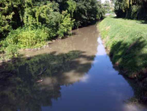 Rußbach stromab der Wehranlage, am linken Ufer wachsen Bäume, rechts gibt es am Ufer nur Wiese. Der Bach hat wenig Platz.