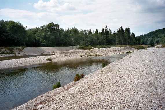 Geschiebedepot an der Alz, das Bild zeigt die Alz mit einem einigen Meter hohen, seitlich des Flusses angeordneten Geschiebedepot, im Hintergrund sind Bäume und Büsche einer uferbegleitenden Vegetation sichtbar.