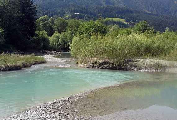 aufgeweiteter und naturnah gestalteter Abschnitt der Drau in Kärnten – junge Weiden auf einer Kiesinsel