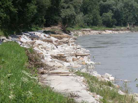 Rechts verläuft der Fluss Salzach etwas kurvig, im linken Hintergrund angeschwemmtes Material, links dahinter Wald