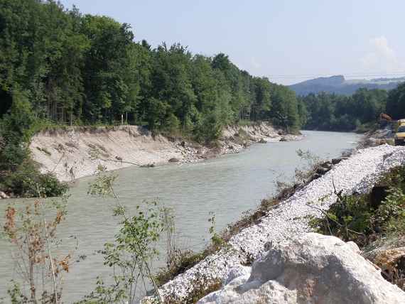 Der Fluss Saalach etwa 2 km vor der Mündung in die Salzach. Die Ufersicherung wurde beim extremen Hochwasser im Juni 2013 zerstört. Der Fluss hat sich hier im Laufe der Jahre um mehrere Meter eingegraben. Die rund 10 m hohe Flussböschung ist sehr steil, das für Personen Absturzgefahr besteht.