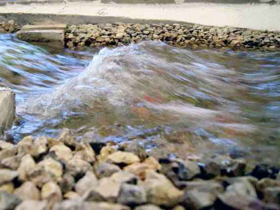 Ein Ausschnitt des wasserbaulichen Modells der Lutz bei einem Hochwasserereignis, das Wasser fließt von links nach rechts.