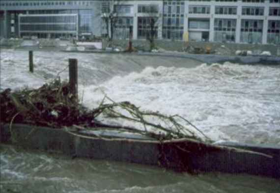 Naturfoto von Hochwasser 1997: reißender Fluss, im Hintergrund ein Gebäude, vorne sammelt sich Treibgut an.